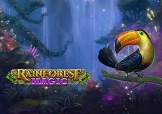 Rainforest Magic game icon